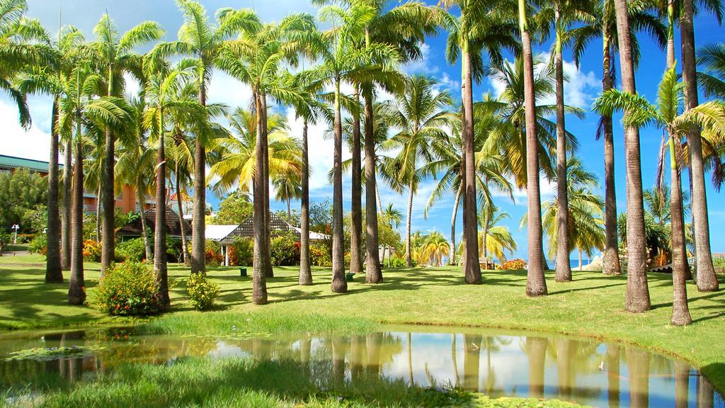 Hotel Bakoua Martinique Les Trois-Ilets Luaran gambar